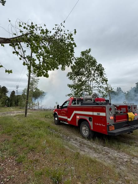 Brush fire response